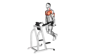 Chest Dip exercise