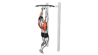 Chin ups (narrow parallel grip) exercise