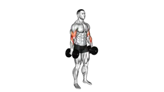 Dumbbell Alternate Biceps Curl exercise