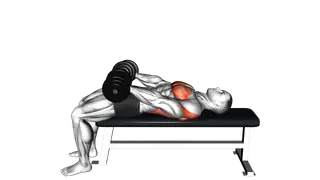Dumbbell Around Pullover exercise