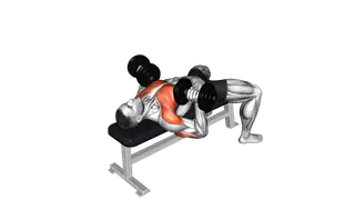 Dumbbell Bench Press exercise
