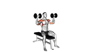 Dumbbell Bench Seated Press exercise