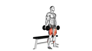 Dumbbell Bench Squat exercise