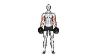 Dumbbell Cross Body Hammer Curl exercise