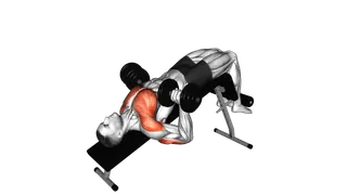 Dumbbell Decline Bench Press exercise