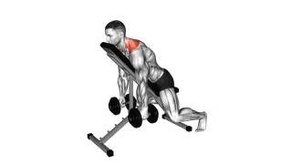 Dumbbell Decline Shrug exercise