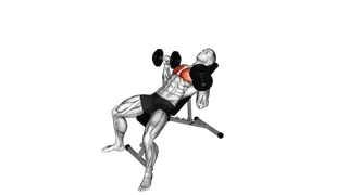 Dumbbell Incline Bench Press exercise