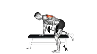 Dumbbell Kickback