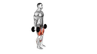 Dumbbell Lunge exercise