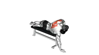 Dumbbell Lying One Arm Deltoid Rear exercise