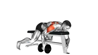 Dumbbell Lying One Arm Rear Lateral Raise exercise