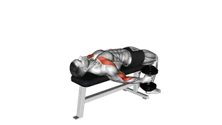 Dumbbell Lying Supine Curl