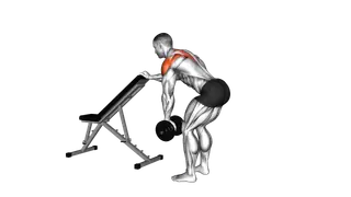 Dumbbell One Arm Reverse Fly (with support) exercise