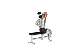 Dumbbell One Arm Triceps Extension (on bench) exercise