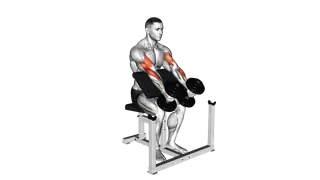 Dumbbell Peacher Hammer Curl exercise