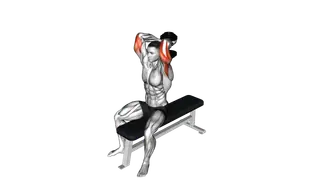 Dumbbell Seated Bench Extension