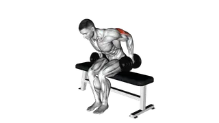 Dumbbell Seated Kickback