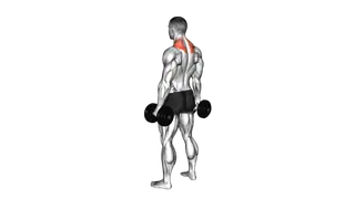 Dumbbell Shrug