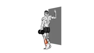 Dumbbell Single Leg Calf Raise exercise