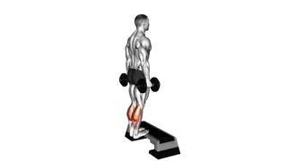 Dumbbell Standing Calf Raise exercise