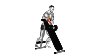 Dumbbell Standing One Arm Curl (over incline bench)