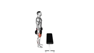 Dumbbell Step up exercise