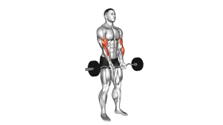 EZ Barbell Close grip Curl