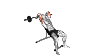 EZ Barbell Incline Triceps Extension