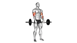 EZ Barbell Reverse Grip Curl