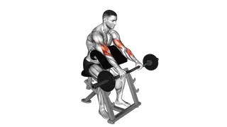 EZ Barbell Reverse grip Preacher Curl