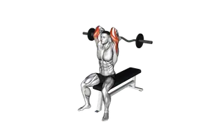 EZ Barbell Seated Triceps Extension