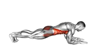 Front Elbow Plank exercise