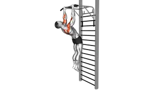 Sternum Pull up (Gironda)