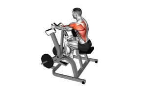 Lever Single Arm Neutral Grip Seated Row (plate lo