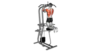 Lever Assisted Chin Up
