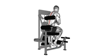 Lever Back Extension exercise