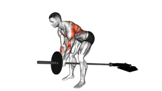 Lever Bent over Row (plate loaded) exercise