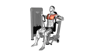 Lever Chest Press