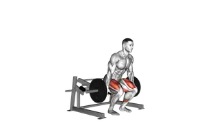 Lever Deadlift (plate loaded)