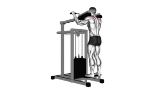 Lever Gripless Shrug exercise