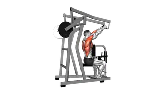 Lever High Row (plate loaded) exercise
