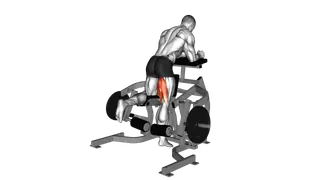 Lever Kneeling Leg Curl (plate loaded)