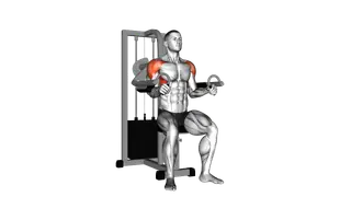 Lever Lateral Raise exercise