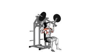 Lever Military Press (plate loaded) exercise
