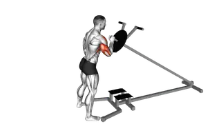 Lever One Arm Shoulder Press (plate loaded) exercise