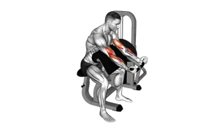 Lever Preacher Curl exercise