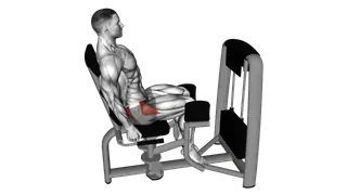 Lever Seated Hip Abduction exercise
