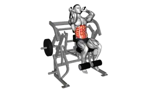 Lever Seated Leg Raise Crunch (plate loaded) exercise