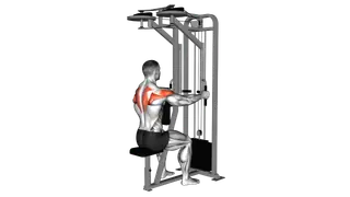 Lever Seated Reverse Fly (parallel grip) exercise