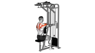 Lever Seated Reverse Fly